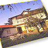Spring Field - Shimla