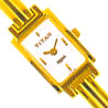 Titan Raga Watch for Women