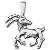 Capricorn